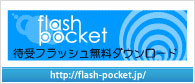 flash pocket